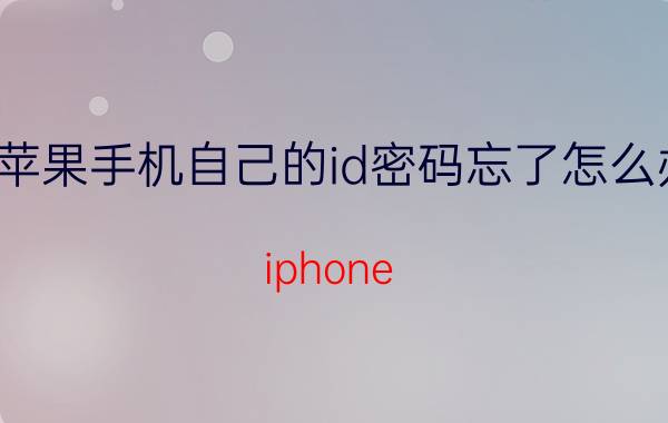 苹果手机自己的id密码忘了怎么办 iphone 停用忘记密码和ld了怎么办？